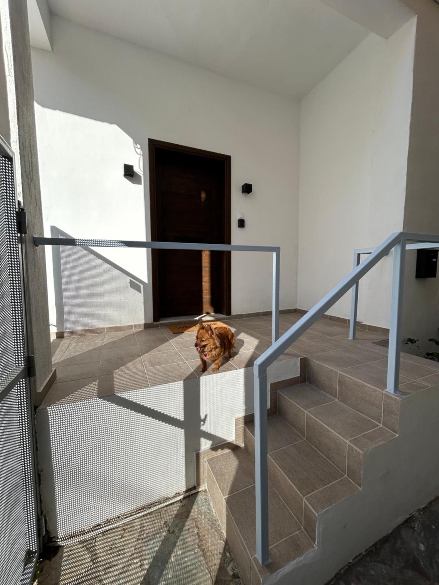 Stella's Petite Boite